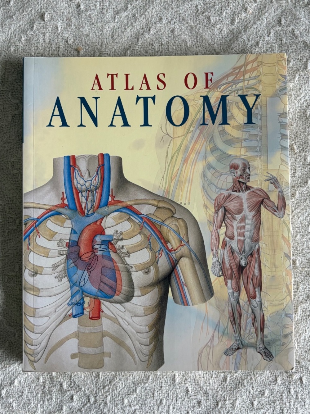 NWOT Atlas of Anatomy Vintage Edition Non-Fiction Science Text Book Reference